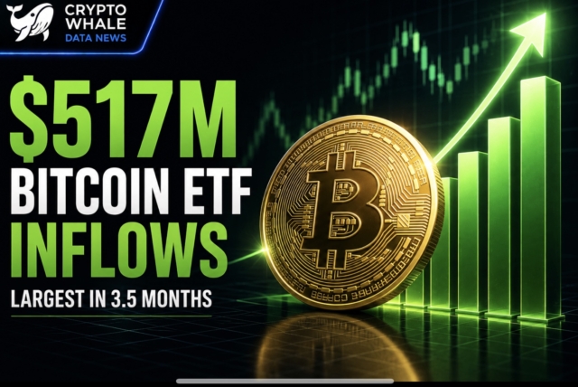Spot bitcoin ETFs report $517 million in net inflows, largest in 3.5 months