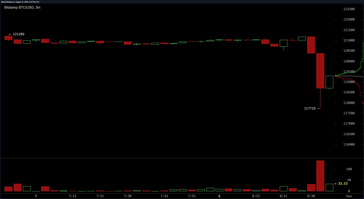 bitcoin-drops-sharply-to-117719-per-coin-before-rebounding-back-above-119000
