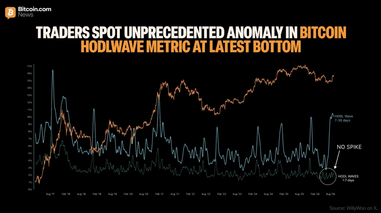 was-it-just-a-single-btc-whale-that-bought-the-bottom-trader-willy-woo-points-out-an-anomaly-in-the-hodlwave-metric-whoever-bought-the-bottom-did-it-slowly-possibly-even-a-single-whale