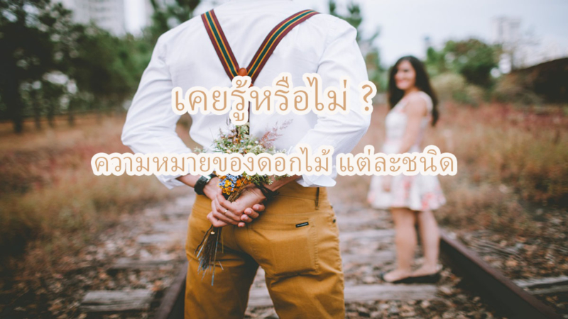 ความหมายของดอกไม้