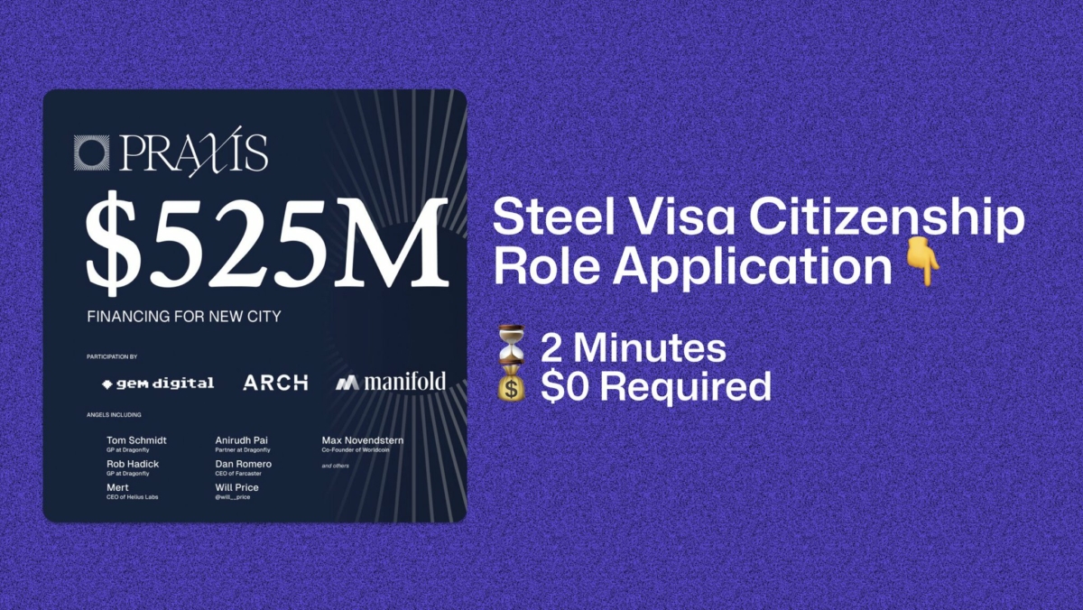 praxis-steel-visa-citizenship-role