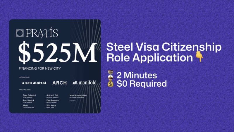 Praxis Steel Visa Citizenship Role