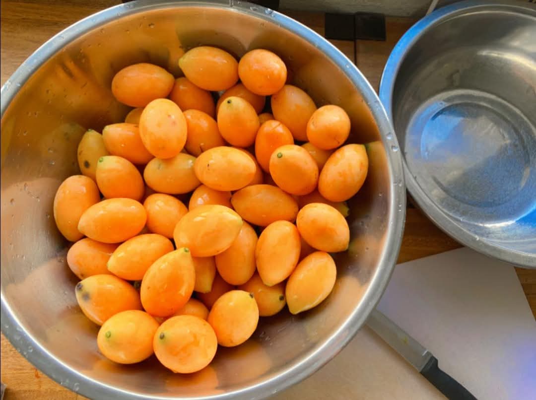 fb_img_1741574998270