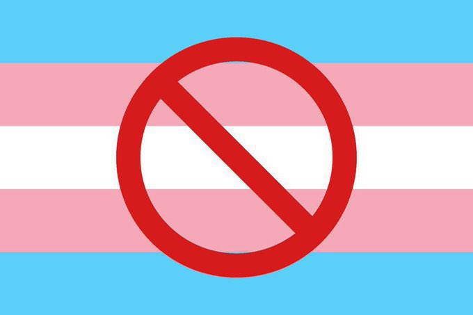 JUST IN: Elon Musk says he canceled his Netflix subscription for pushing transgender ideology on children.