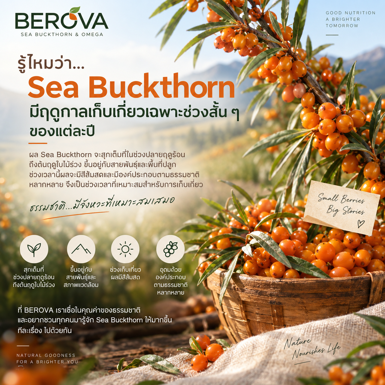 6d6273e3-cd2e-45cb-a551-0d1329d785fa