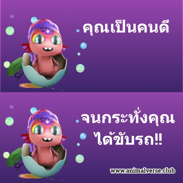 ขับรถแล้วไม่ดียังไง