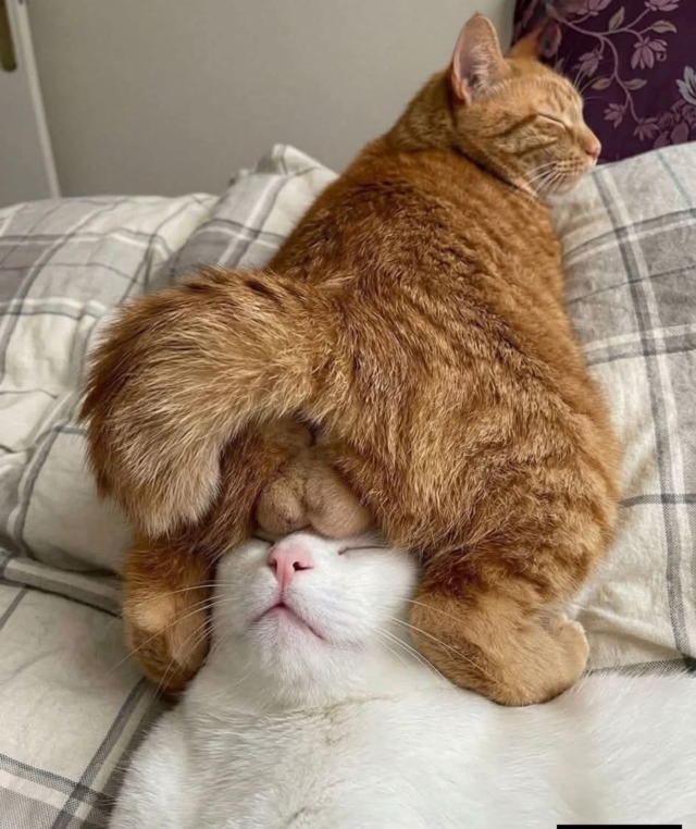 HItbrR2aMAAFLvE