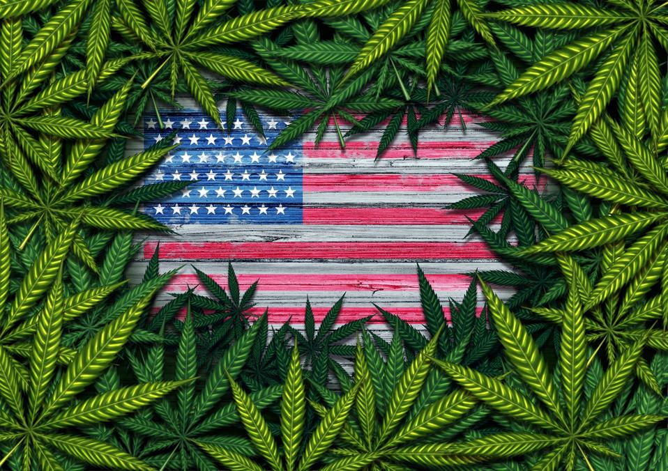 where-is-cannabis-legal-a-guide-to-all-50-states