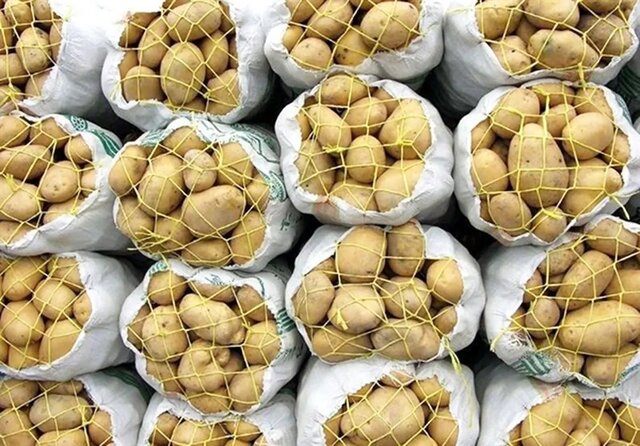 رئیس اتحادیه بارفروشان تهران: سیب‌زمینی‌های بهاره وارد بازار شدند و با افزایش عرضه، قیمت‌ها روند کاهشی یافته‌اند. اکنون قیمت‌ها بین ۲۳ تا ۳۳ هزار تومان است