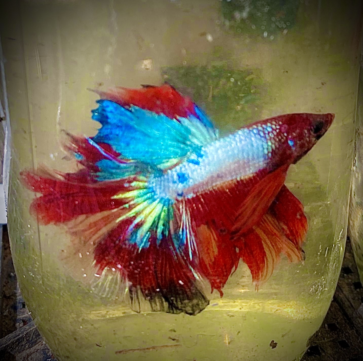 9a1fcf1c-be52-4240-9087-5c3b336ee373