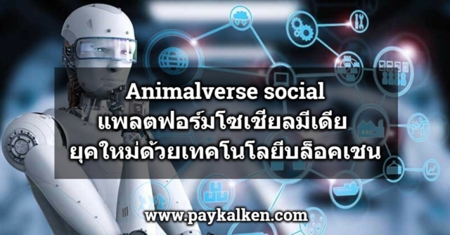 Animalverse social โซเชียลมีเดียยุคใหม่ด้วยเทคโนโลยีบล็อคเชน